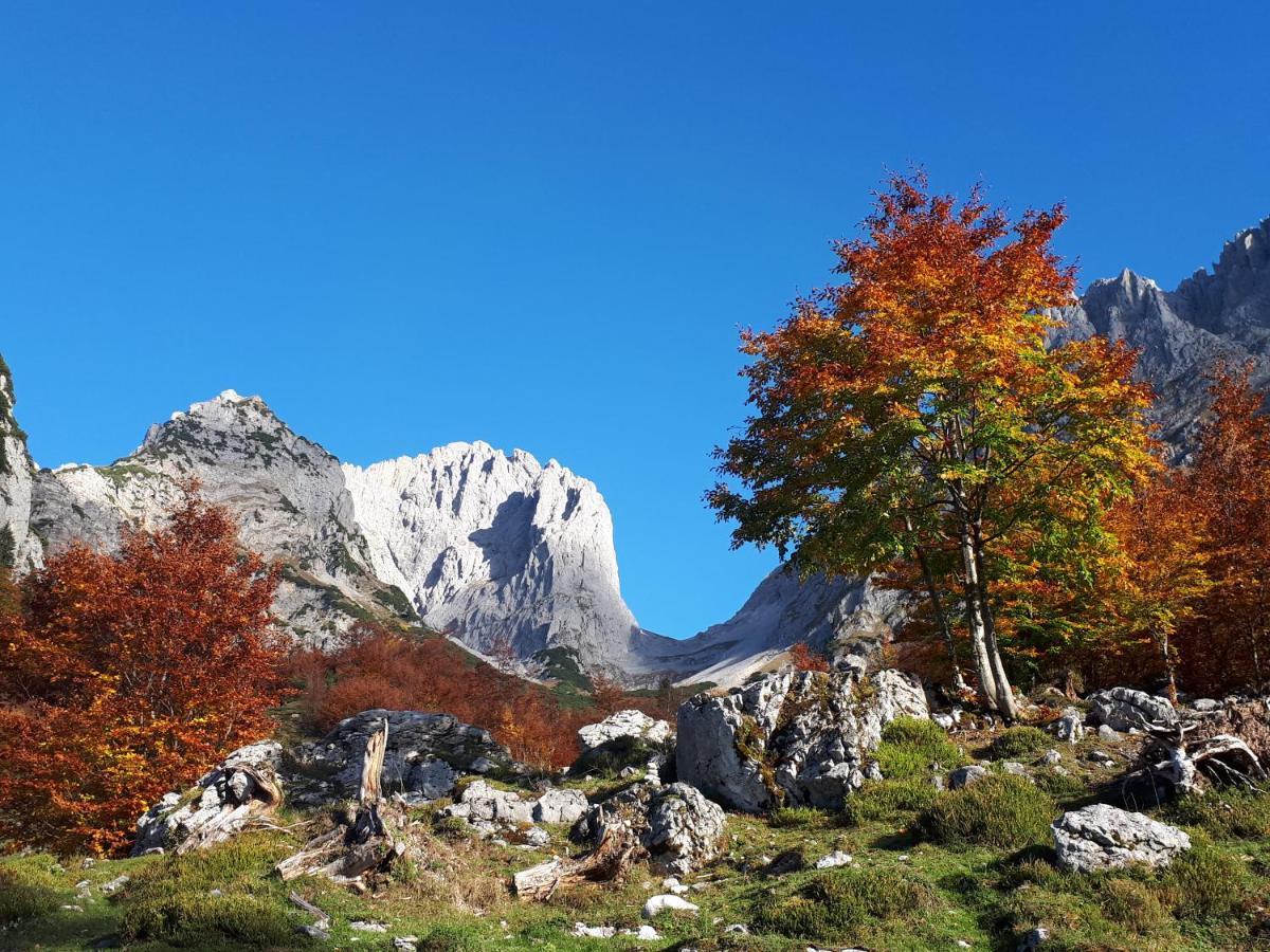 Haus Strobler Διαμέρισμα Going am Wilden Kaiser Εξωτερικό φωτογραφία