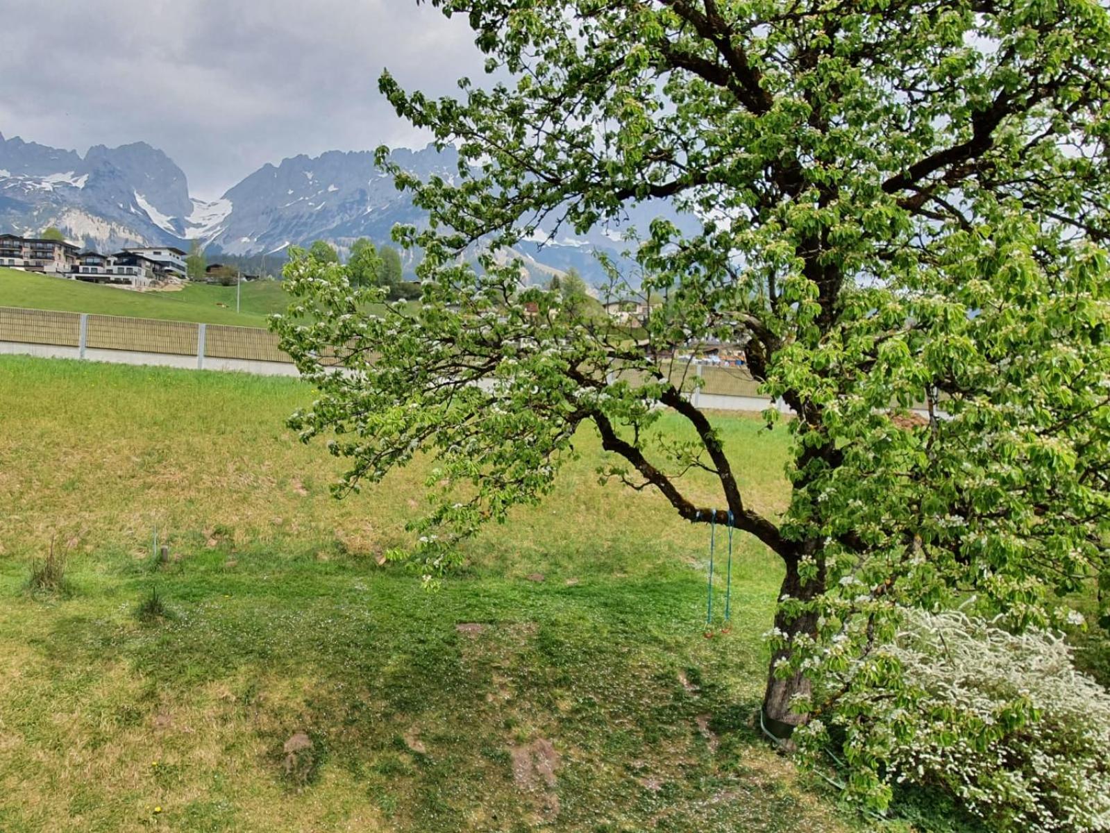 Haus Strobler Διαμέρισμα Going am Wilden Kaiser Δωμάτιο φωτογραφία